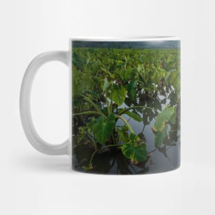 Loi (taro patch field) Mug